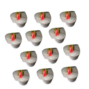 Capiz Memory Box Heart with Flower, 12 pieces